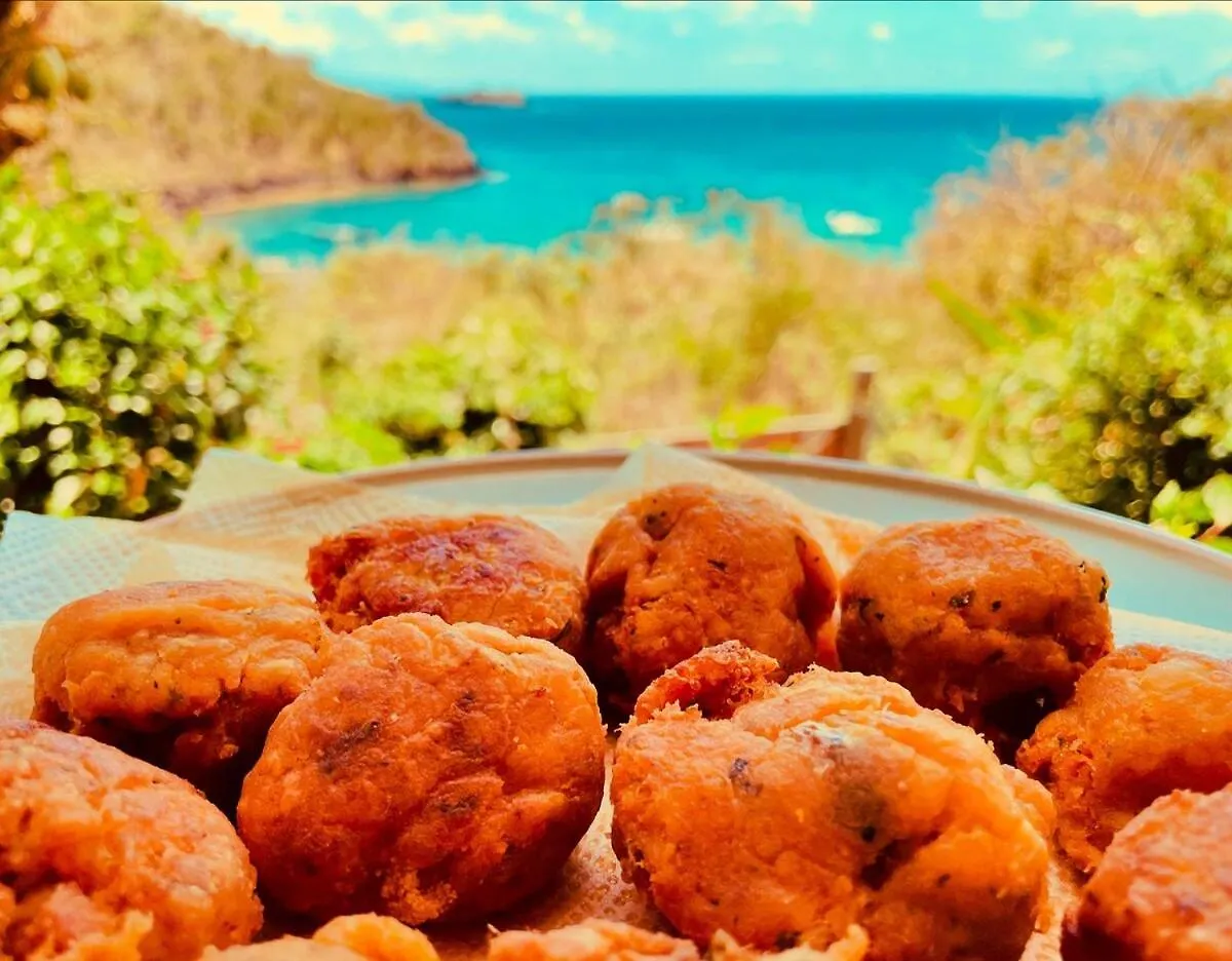 Сasa de vacaciones Ti Kaz Kozi, Kaz Confortable, Vue Mer Et Acces Direct A La Plage De La Baie Des Tortues Terre-de-Bas